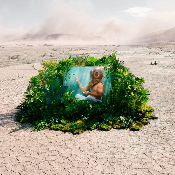 Is Benjamin Viulet's Art Real or AI? The Answer You Don't Expect