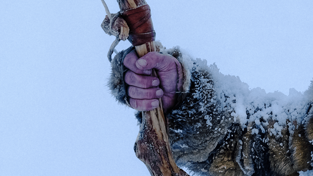 This is what survives when you choose safety over truth