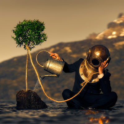 The Noxious Orchard Of Vice