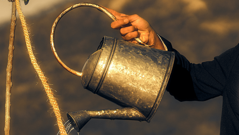 Nothing destructive grows overnight. It grows by permission