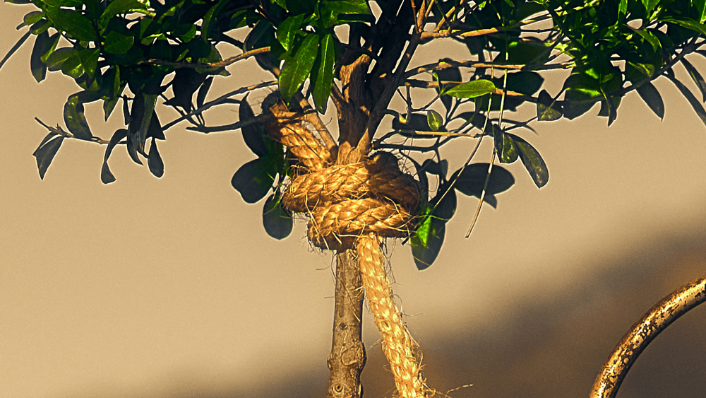 What you nourish eventually decides how much air you get