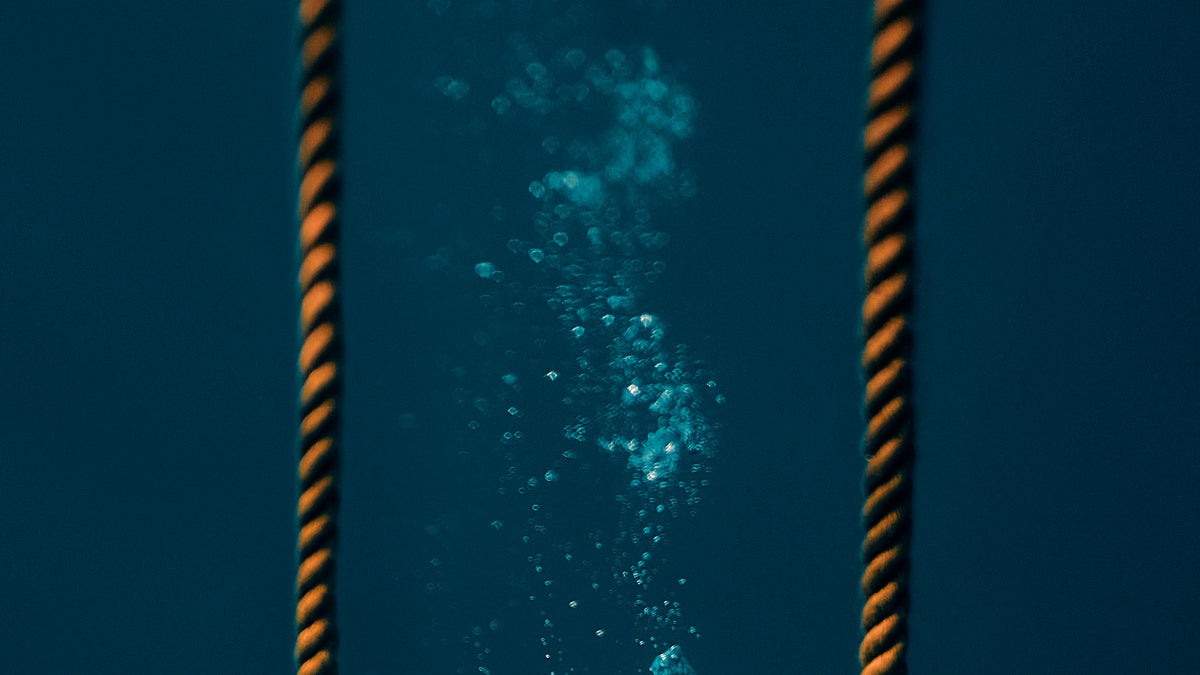 Detail 3