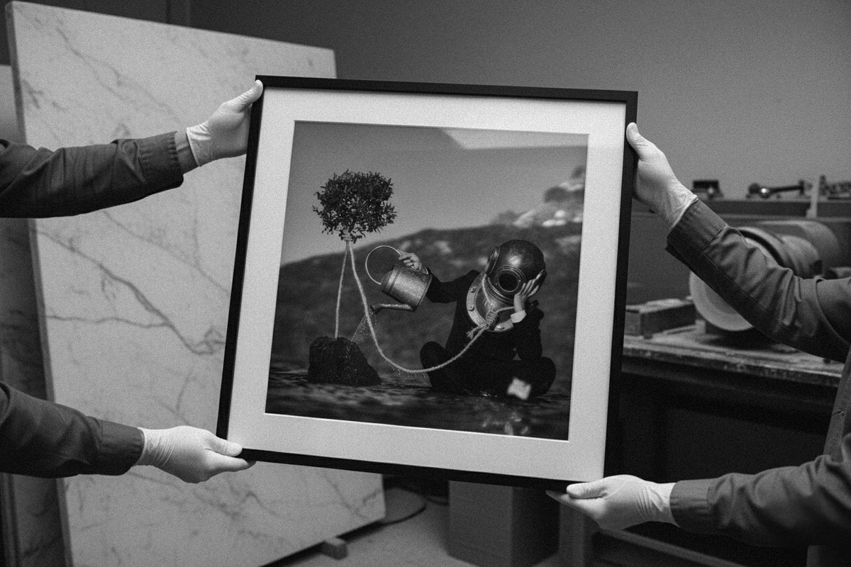 The Noxious Orchard Of Vice