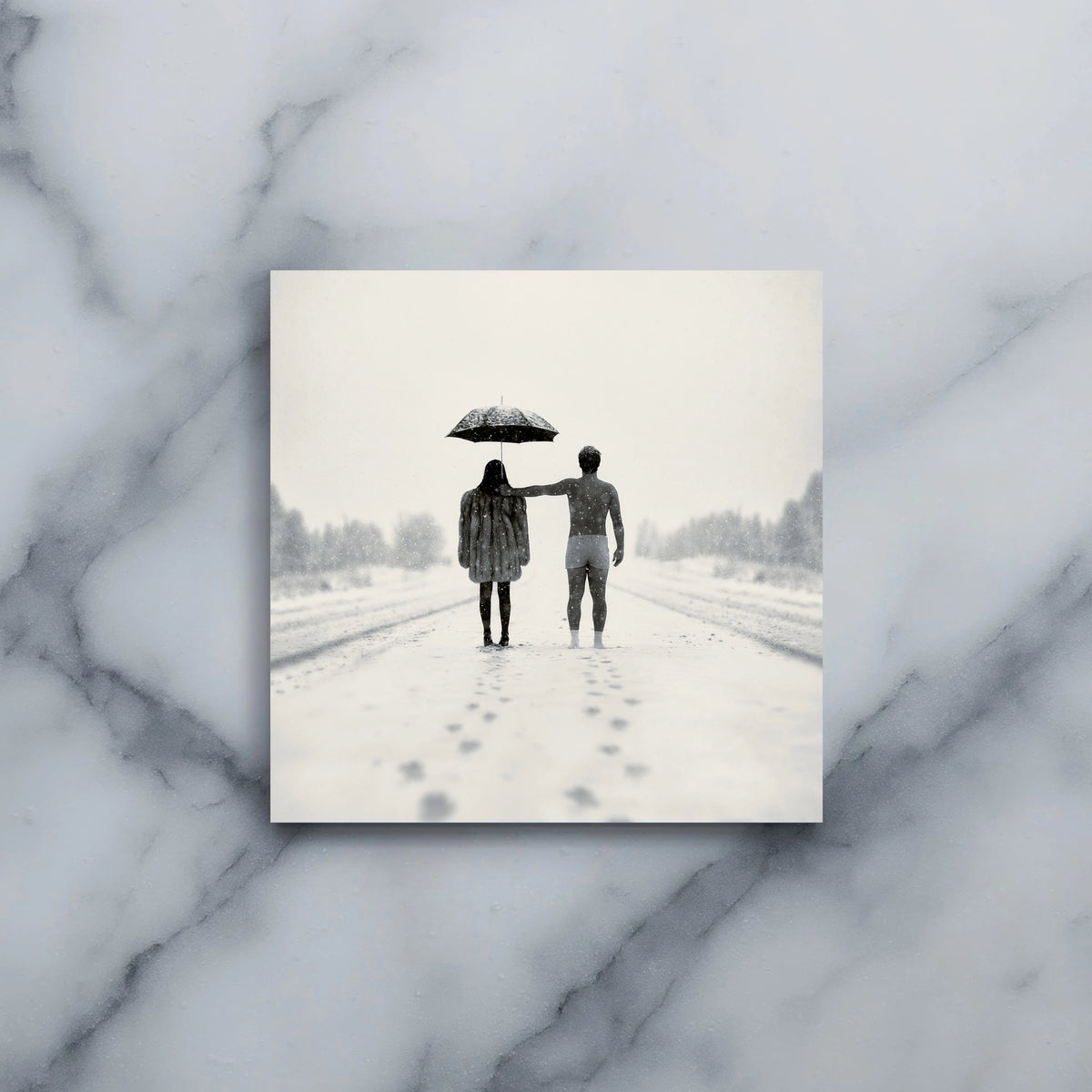 The Winter Between Us 